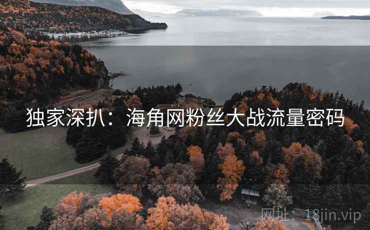 独家深扒:海角网粉丝大战流量密码
