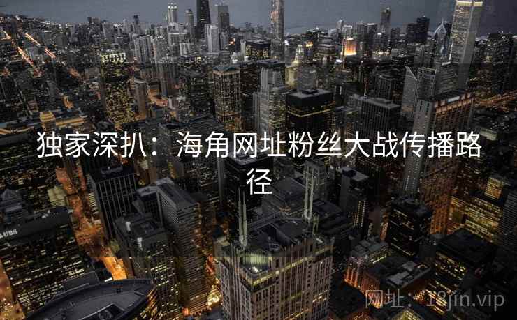 独家深扒：海角网址粉丝大战传播路径