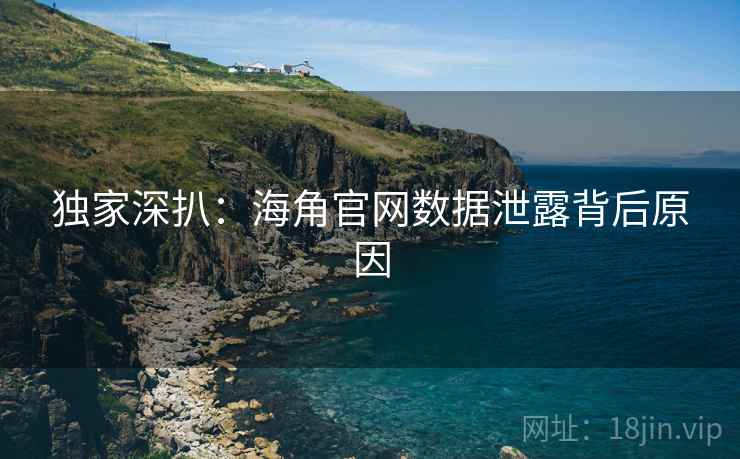 独家深扒：海角官网数据泄露背后原因