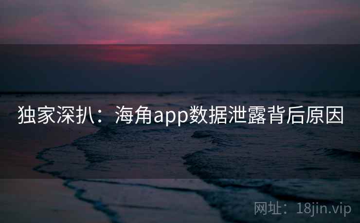 独家深扒:海角app数据泄露背后原因